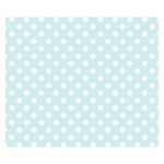 Polka Dots - White on Light Cyan Double Sided Flano Blanket (Small)