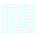 Polka Dots - Celeste Cyan on White Double Sided Flano Blanket (Small)