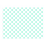 Polka Dots - Aquamarine on White Double Sided Flano Blanket (Mini)