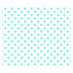 Polka Dots - Aquamarine on White Double Sided Flano Blanket (Small)