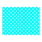 Polka Dots - White on Aqua Cyan Double Sided Flano Blanket (Mini)