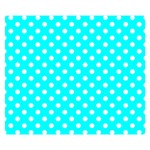 Polka Dots - White on Aqua Cyan Double Sided Flano Blanket (Small)
