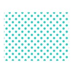 Polka Dots - Turquoise on White Double Sided Flano Blanket (Mini)