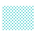 Polka Dots - Cyan on White Double Sided Flano Blanket (Mini)