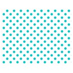Polka Dots - Cyan on White Double Sided Flano Blanket (Medium)