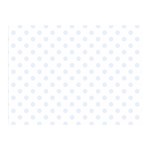 Polka Dots - Pastel Blue on White Double Sided Flano Blanket (Mini)
