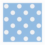 Polka Dots - White on Baby Blue Medium Glasses Cloth