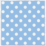 Polka Dots - White on Baby Blue Canvas 16  x 16 