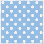 Polka Dots - White on Baby Blue Canvas 20  x 20 