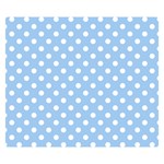 Polka Dots - White on Baby Blue Double Sided Flano Blanket (Small)