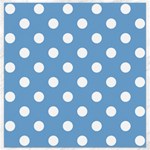 Polka Dots - White on Iceberg Blue Canvas 16  x 16 