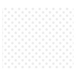 Polka Dots - Pale Gray on White Double Sided Flano Blanket (Small)