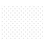 Polka Dots - Pale Gray on White Double Sided Flano Blanket (Medium)