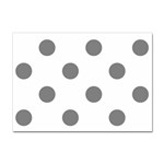 Polka Dots - Gray on White Sticker A4 (10 pack)