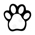Polka Dots - White Smoke on White Magnet (Paw Print)