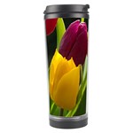 Images Tulip Red Travel Tumbler