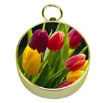 Images Tulip Red Gold Compass