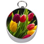 Images Tulip Red Silver Compass