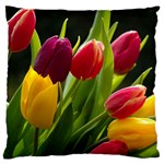 Images Tulip Red Standard Flano Cushion Case (One Side)