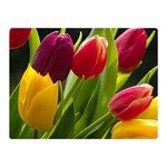Images Tulip Red Double Sided Flano Blanket (Mini)
