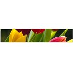 Images Tulip Red Flano Scarf (Large)