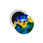 Wallpaper Flower Tulip 1.75  Magnet