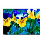 Wallpaper Flower Tulip Sticker A4 (10 pack)