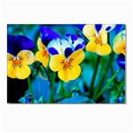 Wallpaper Flower Tulip Postcards 5  x 7  (Pkg of 10)