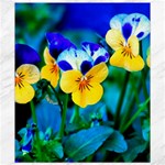 Wallpaper Flower Tulip Canvas 8  x 10 