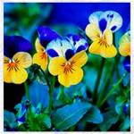 Wallpaper Flower Tulip Canvas 12  x 12 