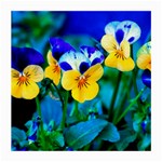 Wallpaper Flower Tulip Medium Glasses Cloth
