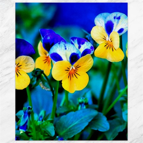 Wallpaper Flower Tulip Canvas 11  x 14  from ArtsNow.com 10.95 x13.48  Canvas - 1