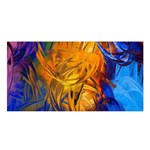 Abstract Paintings Satin Shawl