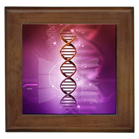Dna Framed Tile from ArtsNow.com Front