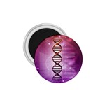 Dna 1.75  Magnet