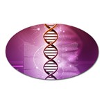 Dna Magnet (Oval)