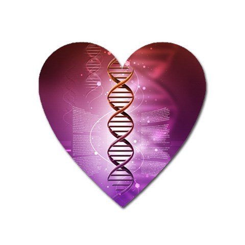 Dna Magnet (Heart) from ArtsNow.com Front