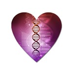 Dna Magnet (Heart)