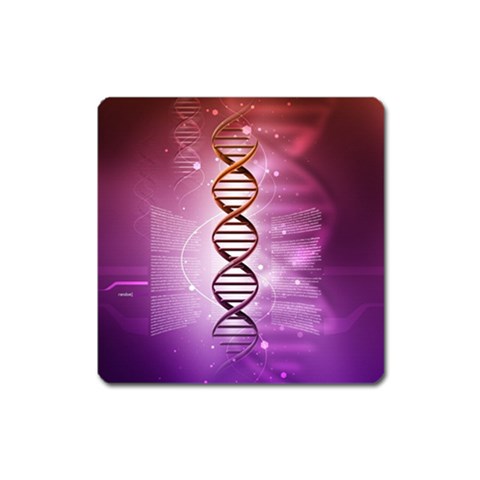 Dna Magnet (Square) from ArtsNow.com Front
