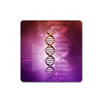 Dna Magnet (Square)