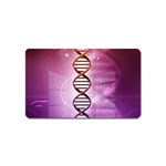 Dna Magnet (Name Card)
