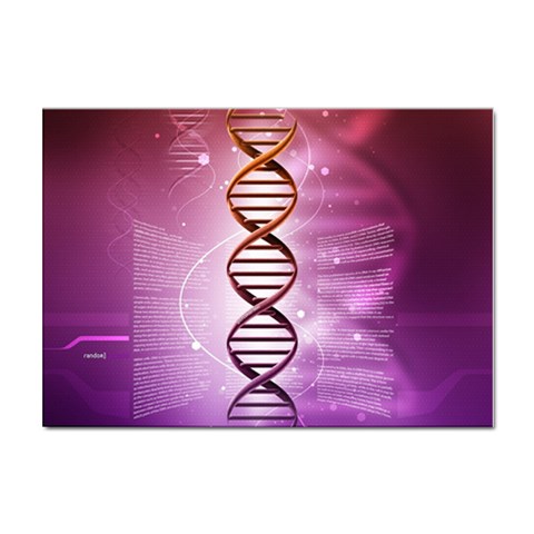 Dna Sticker A4 (10 pack) from ArtsNow.com Front