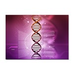 Dna Sticker A4 (100 pack)