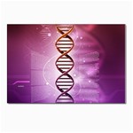 Dna Postcard 4 x 6  (Pkg of 10)