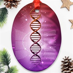 Dna Oval Ornament (Two Sides) from ArtsNow.com Back