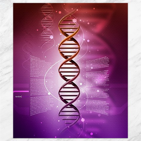 Dna Canvas 8  x 10  from ArtsNow.com 8.15 x9.66  Canvas - 1