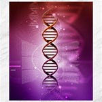 Dna Canvas 8  x 10 