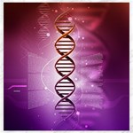 Dna Canvas 12  x 12 