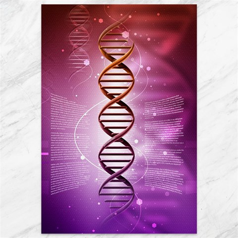 Dna Canvas 12  x 18  from ArtsNow.com 11.88 x17.36  Canvas - 1