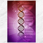 Dna Canvas 12  x 18 